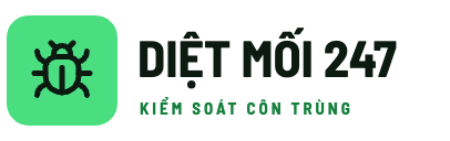 Diệt Mối 247